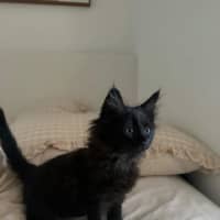 Photo of Tali