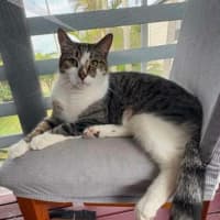 Photo of Max