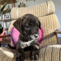 Photo of Clue