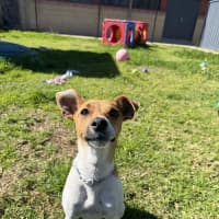 Photo of Chevy