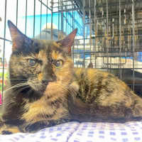 Photo of Tabitha