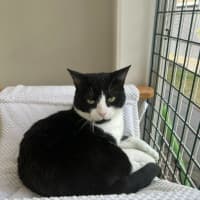 Photo of Batman