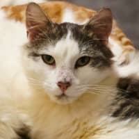 Photo of Bobby