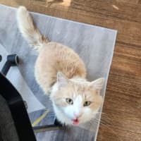 Photo of Churro
