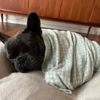 Photo of Nigel