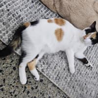 Photo of Mitzi
