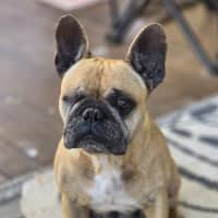 Photo of Betty