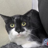 Photo of 💞 Ruby 6928 💞