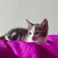 Photo of Mia