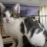 Photo of Whisper