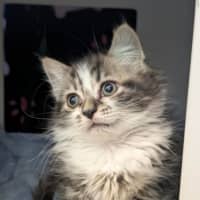 Photo of Veruca