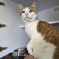 Photo of Bobo