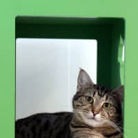 Photo of Marge Sta013634