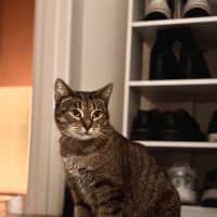 Photo of Cleo