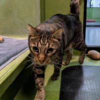 Photo of Milo