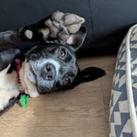 Photo of Grimmy