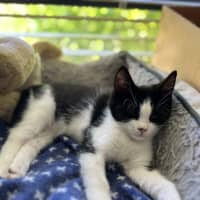 Photo of Xena And Smudge