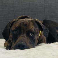 Photo of Uncle Fester