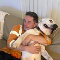 Photo of Turbo