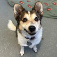 Photo of Billy