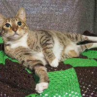 Photo of Pepper