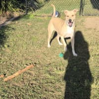 Photo of Narla (8063)