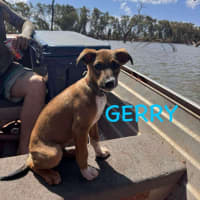 Photo of Gerry