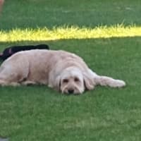 Photo of Maggie