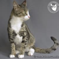 Photo of Dolly Parton