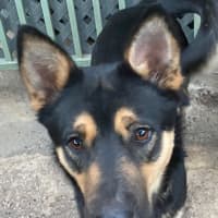 Photo of Elsa