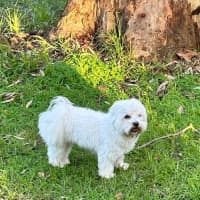 Photo of Arkie
