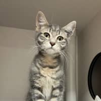 Photo of Sammy