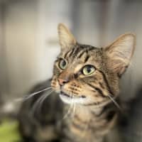 Photo of Ralph