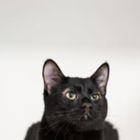 Photo of Storm