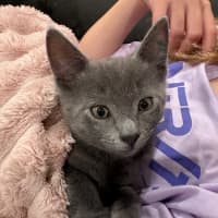 Photo of Alfie