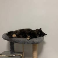 Photo of Hazel