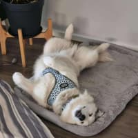 Photo of Ghost & Mirri