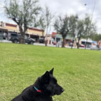 Photo of Zara
