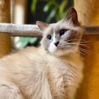 Photo of Theo   In Foster Care In Templestowe