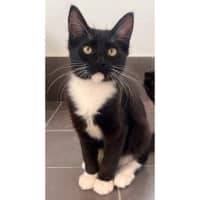 Photo of 11936   Louis