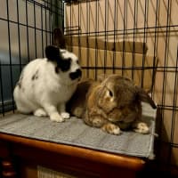 Photo of Strawberry And Popcorn 