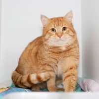 Photo of Nudge