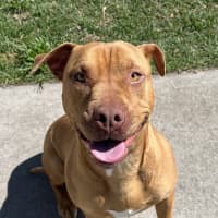 Photo of Milo