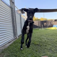 Photo of Hershey
