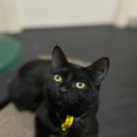 Photo of Monty