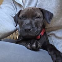 Photo of Hershey