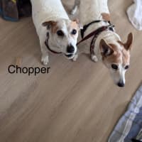 Photo of Tiara And Choppa