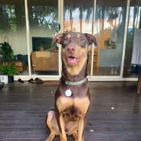 Photo of Spike