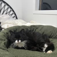 Photo of Nellie 🌺