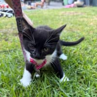 Photo of Wizard